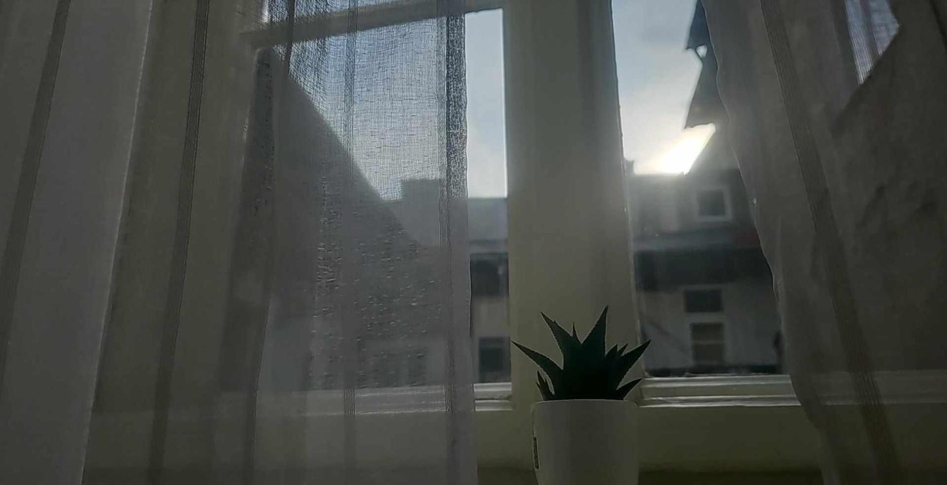 Apartamenty Nikodem In Old Town - Krakow Center エクステリア 写真